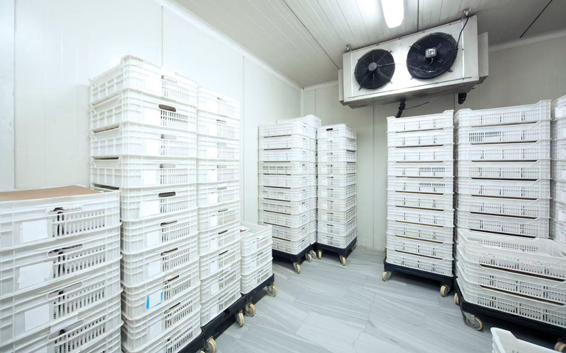 Эффективность ресурсов & Экологическое попечение