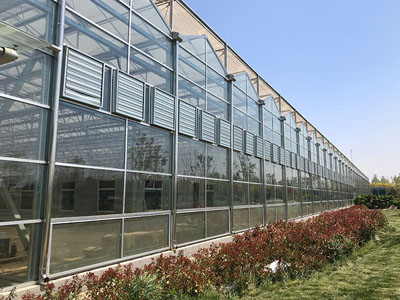 Новая модернизация SunxFan с двойным входом центробежных вентиляторов: технология преобразования частоты EC помогает беспочвенных теплиц для достижения эффективной вентиляции и контроля температуры