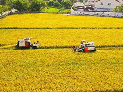 От сбора хлопка до сбора урожая, центробежные вентиляторы с двойным входом и переменной частотой EC SunxFan