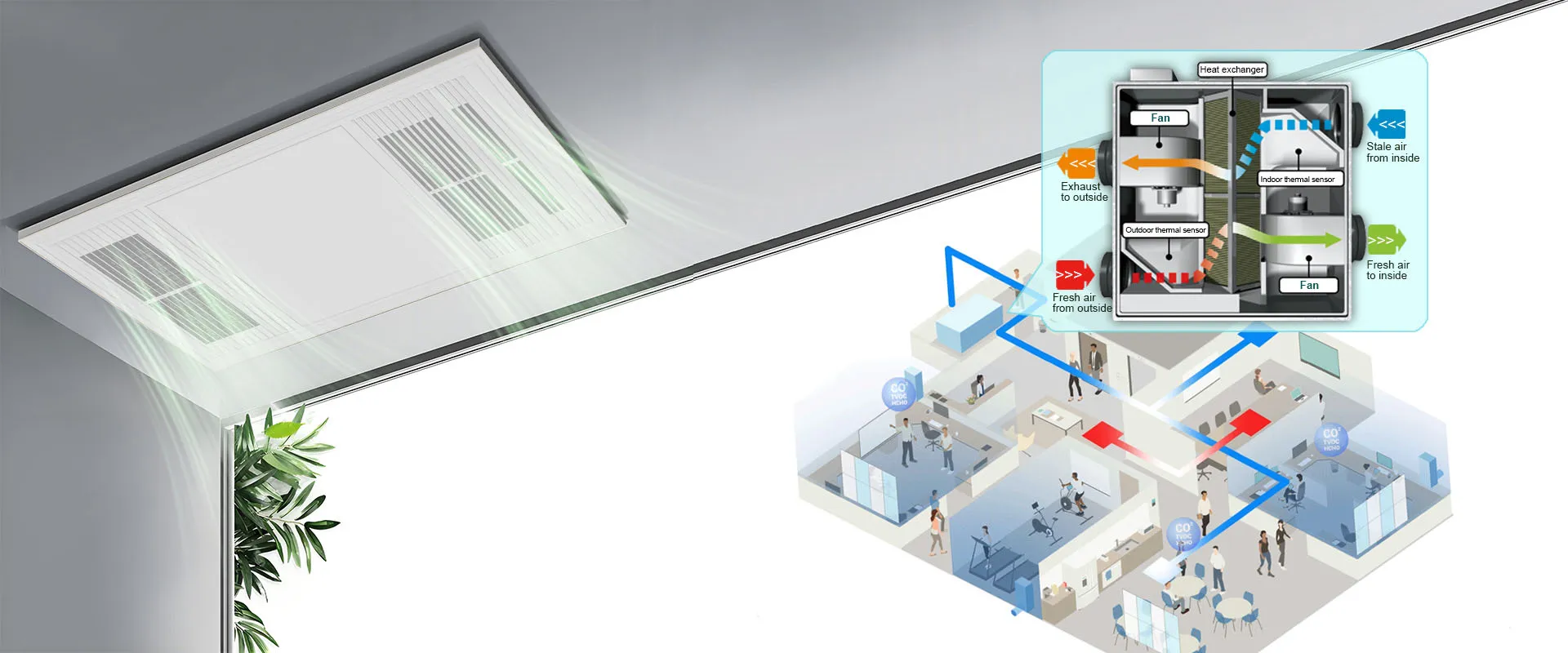 Алгоритм дышит, ветер развивается.